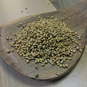 Naattu Kambu/Pearl Millet(நாட்டு கம்பு)100g_PaattiVaithiyapodi