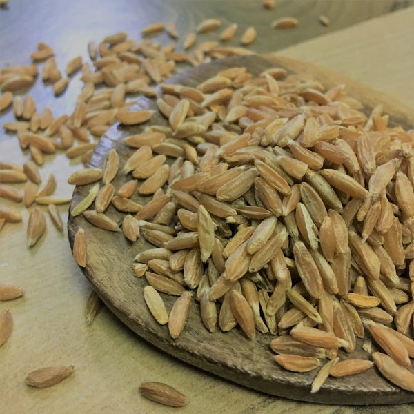 Samba Wheat(சம்பா கோதுமை)100g_PaattiVaithiyapodi
