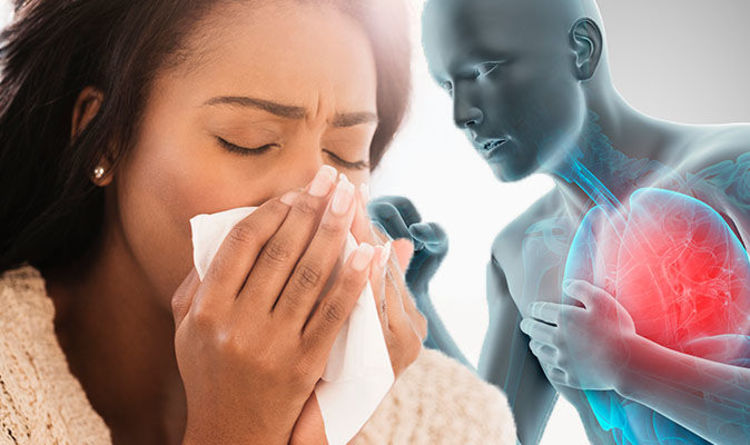 Cold & Cough