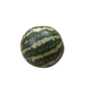 Bitter Apple/Kumattikkaai(குமட்டிக்காய்)1 PIECE_PaattiVaithiyapodi