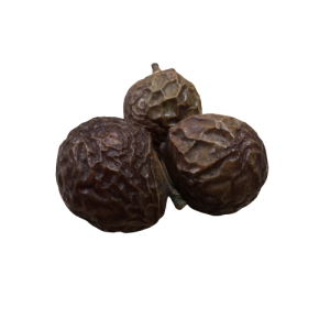 Boondhikottai/Soapnut(பூந்திகொட்டை)_PaattiVaithiyapodi