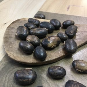 Velvet Bean/Poonaikaali Seeds_(பூனைகாலி விதை)