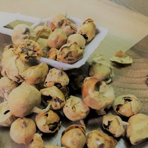 Paneer/Panneer Poo(பன்னீர் பூ)50g_PaattiVaithiyapodi