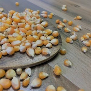 Popcorn Sorghum(பாப்கார்ன் சோளம்)100g_PaattiVaithiyapodi