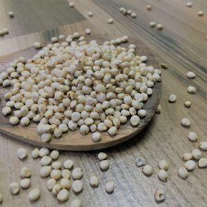 White Sorghum/Vellai Solam(வெள்ளை சோளம்)100g_PaattiVaithiyapodi