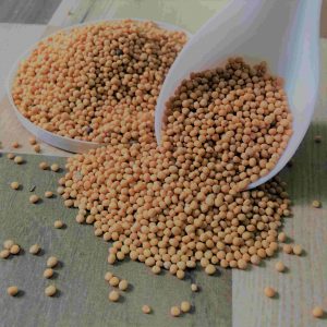 Yellow Mustard/Venkadugu(வெண்கடுகு)100g_PaattiVaithiyapodi