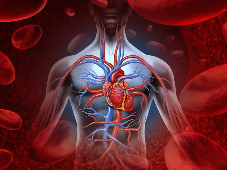 Blood Purifier