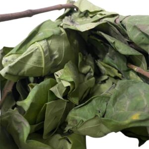 Veppaalai Ilai/Leaf 100g