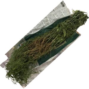 Siriyanangai Elai/Leaf 100g