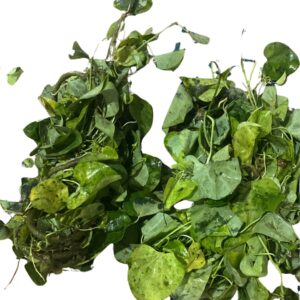 Seendhilkodi Elai/leaf 100g
